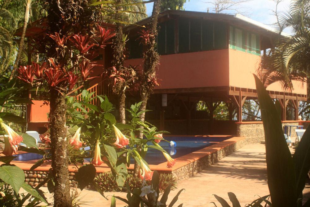 Perla Negra Hotel Puerto Viejo de Talamanca Exterior photo